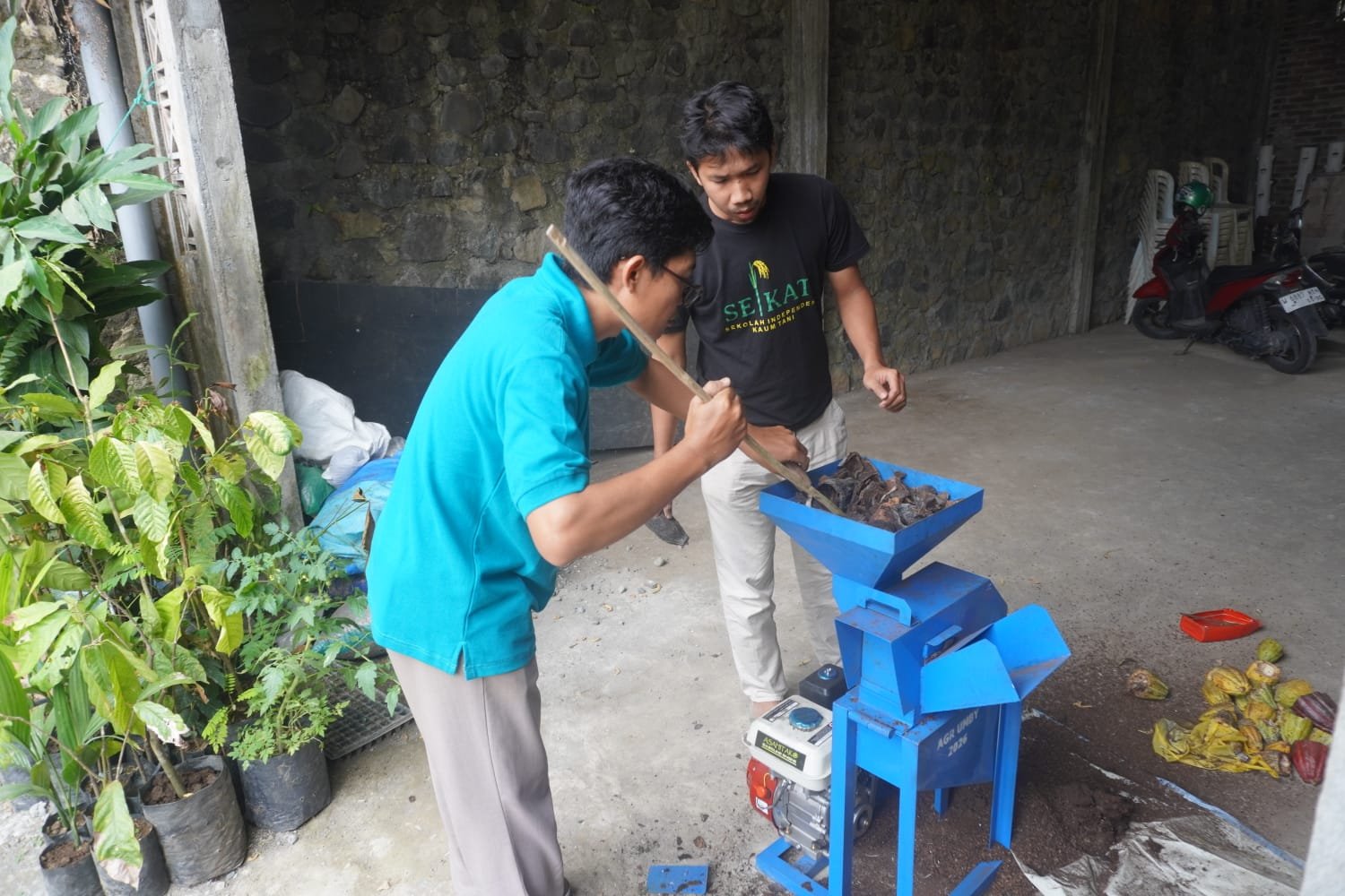 Proses Produksi BIOKAO 1